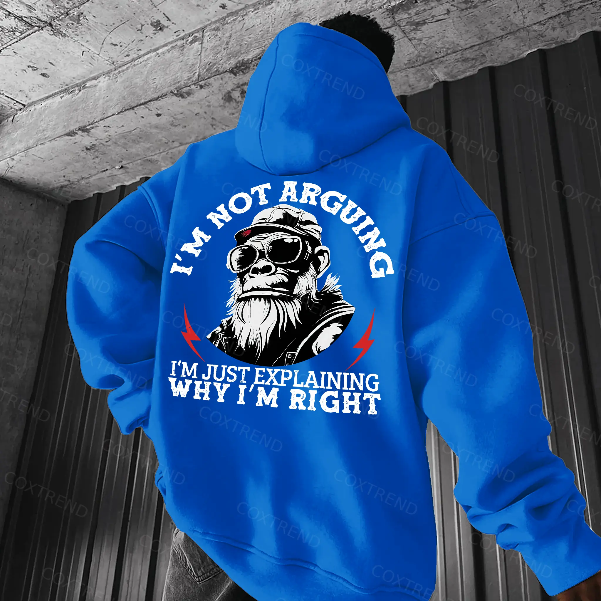I'm Not Arguing I'm Just Explaining Why I'm Right Printed Men's Hoodie