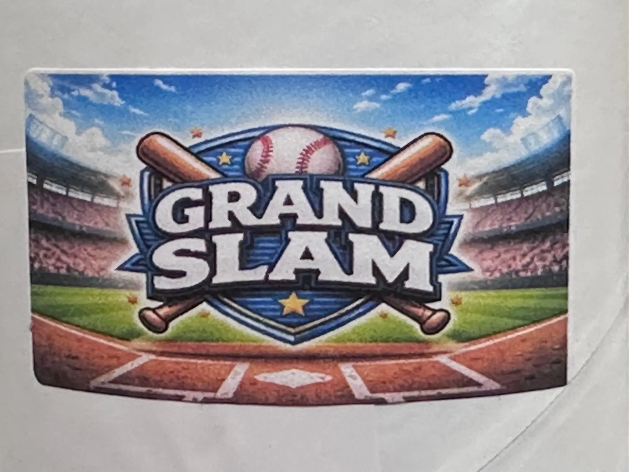 Fire Factory Grand Slam Bat Exclusive to South Sip Rips All Custom Certified Baseball Bat Collection