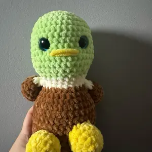 Large mallard duck