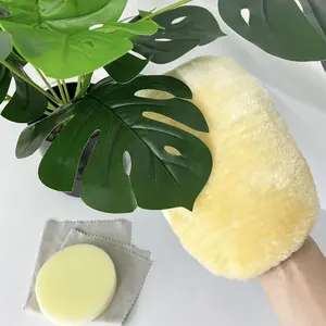 House  Leaf Cleaner - 3in1 Leaf Shine Set Microfiber Gloves for Indoor  Dusting