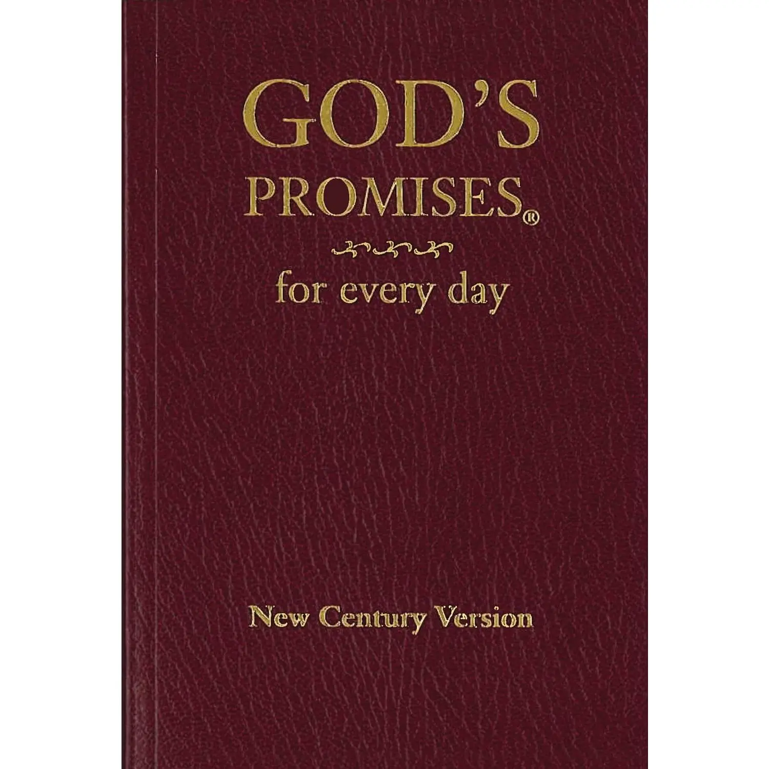 God's Promises for Every Day: Bible Verses for All Seasons of Life - Father's Day Gift for Christian Dads, 15M Copies Sold, 4.24x0.93x6.05 In, 5.6 Oz Trade Paperback