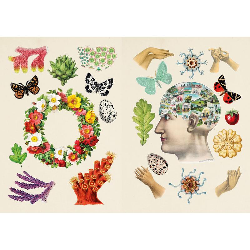 The Antiquarian Sticker Book: Over 1,000 Exquisite Victorian Stickers by Odd Dot (The Antiquarian Sticker Book Series) (Hardcover)