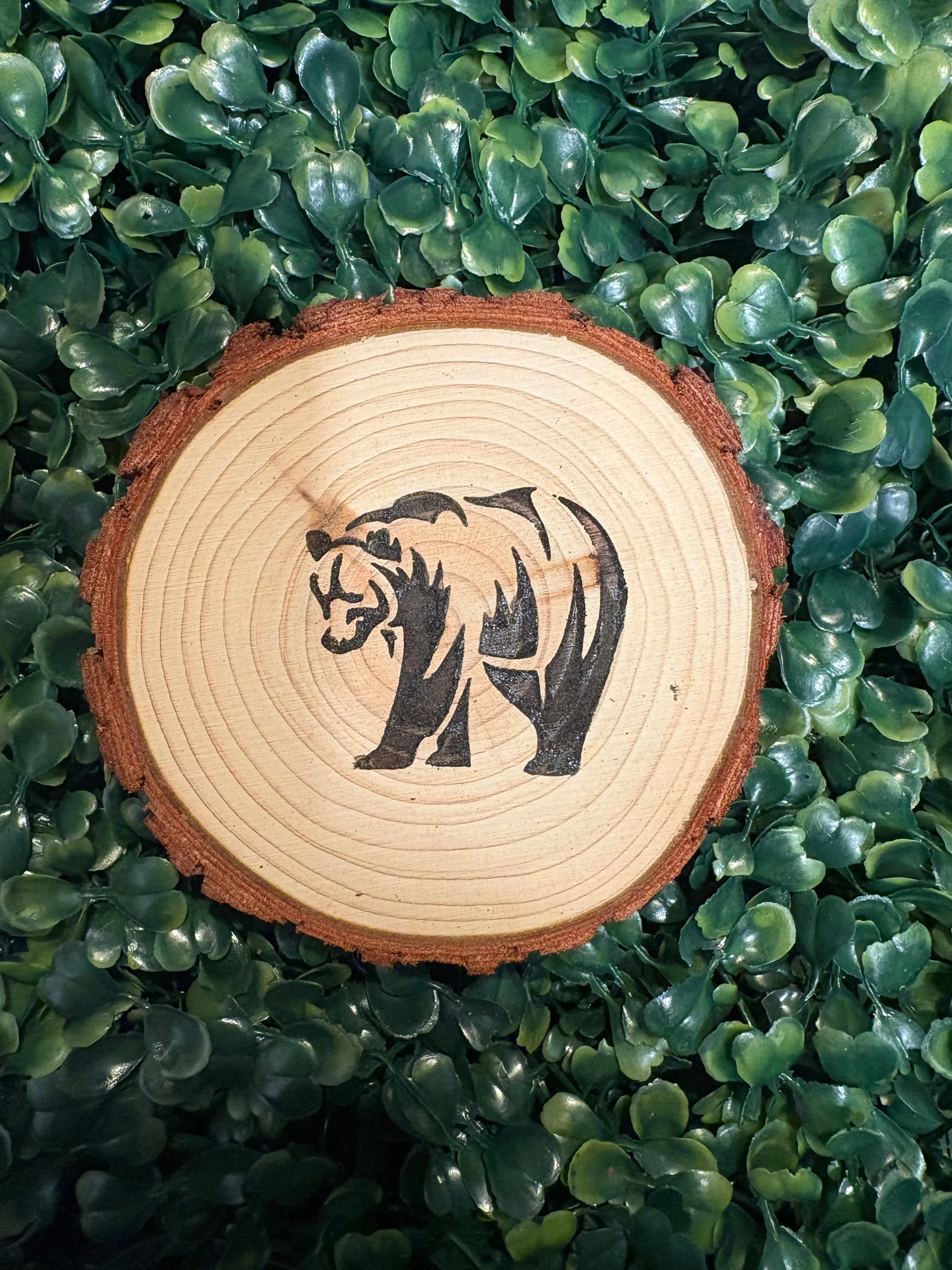 Bear Coaster Bear Coaster