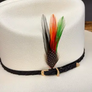 STETSON HAT FEATHER 2 Pack STETSON HAT FEATHER 2 Pack