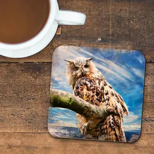 Nature Wonders 95371C-S4 4 x 4 in. Owl Wooden Cork Coasters Gift - Set of 4