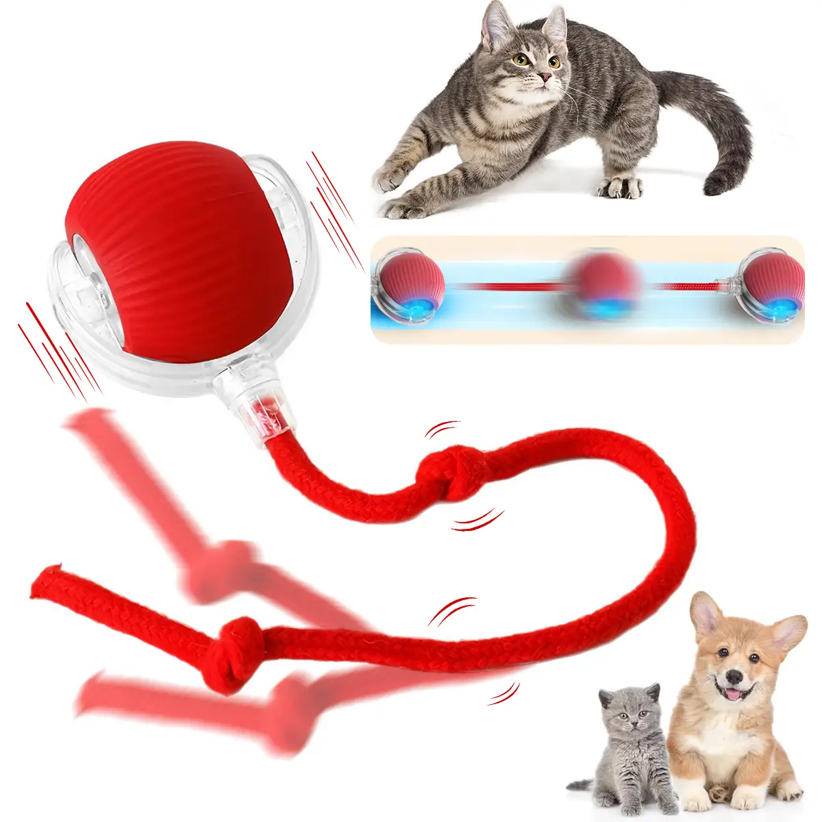 Interactive Cat Ball Toy – 3-Mode Smart Rolling Ball for Indoor Cats & Puppies, USB Rechargeable, Automatic Obstacle Avoidance Pet Toy cute bola intel
