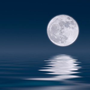 My white moonlight