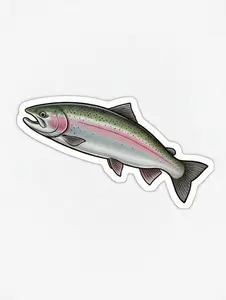 Sticker of Steelhead / Rainbow Trout - 2" x 2"