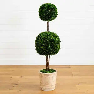 4’ Preserved Boxwood Double Ball Topiary Tree in Planter 4’ Preserved Boxwood Double Ball Topiary Tree in Planter