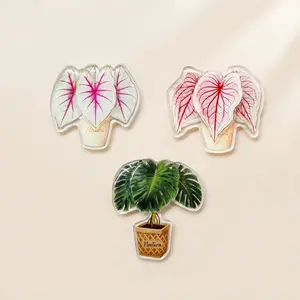 Tropical Plant Shaped Acrylic Fridge Magnet, Rotatable design, Creative Magnetic Sticker, Festive Decor for Home Office, Monstera, Caladium Bicolor 'Sweetheart', Fantasy Caladium