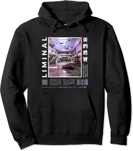 Liminal Spaces Retro Internet 80s & 90s Backrooms Vaporwave Pullover Hoodie - Salvadorata Shop 84B0CDSG3SPM