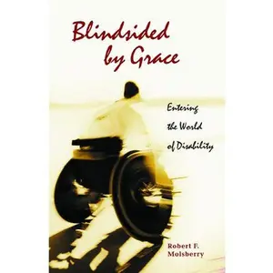 USED-Blindsided by Grace: Entering the World of Disability by Molsberry, Bob (Paperback)