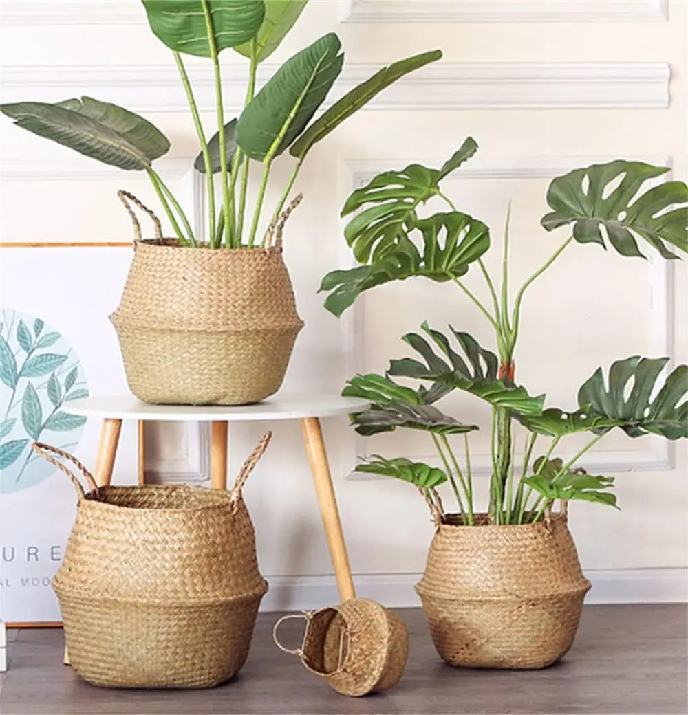 Handcrafted Woven Seagrass Belly Basket with Handles - Eco-Friendly, Decorative, Multipurpose Basketry - Folding Storage Basket for Olive Trees, Home Decor - 7.5in Diameter x 9in Height