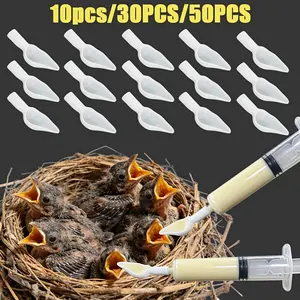 Baby Bird Feeding Spoon for Milk and Medicine, Parrot Baby Food Tool, Multiple Sizes Available, Mini Feeding Spoon, Portable Practical, Manual Feeding