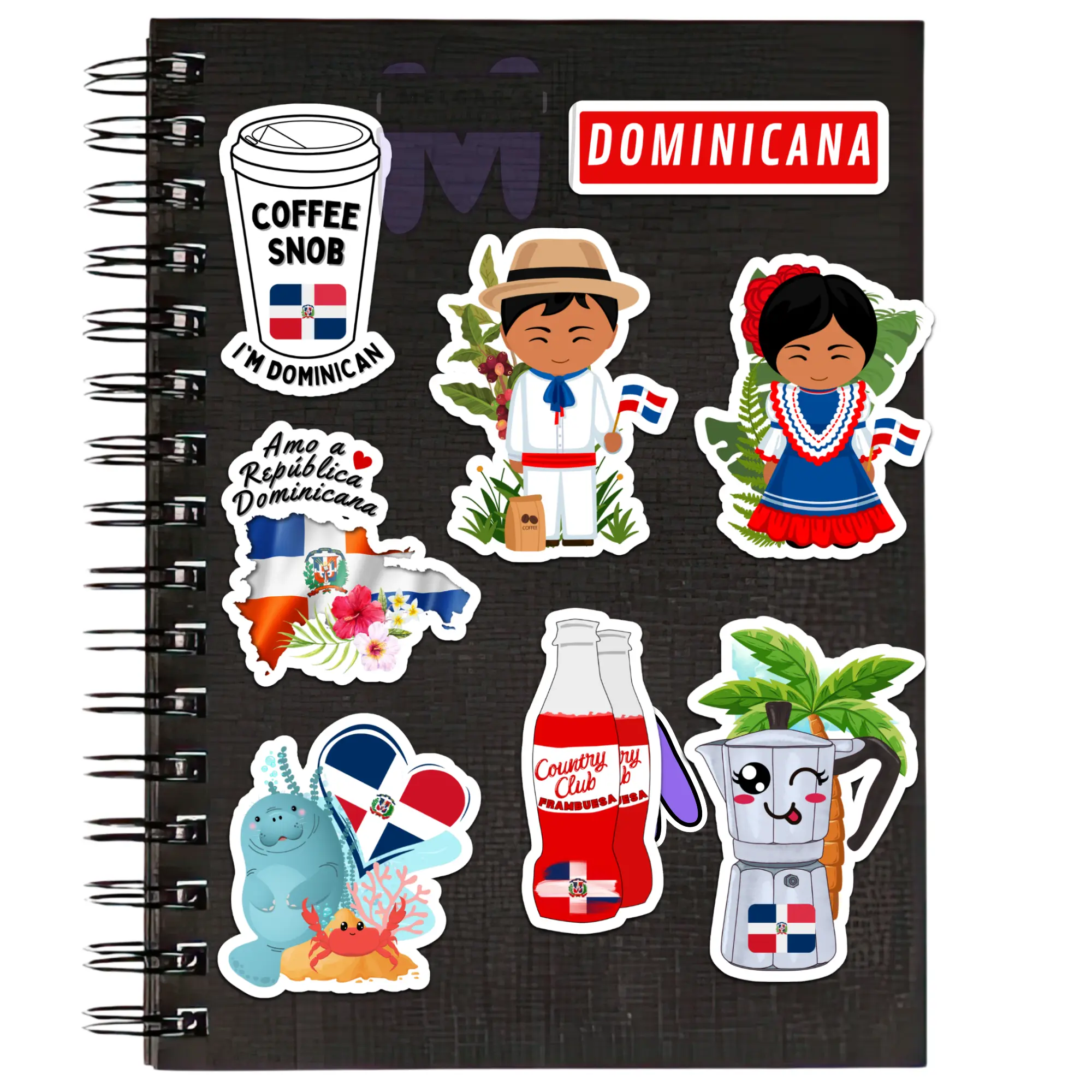Waterproof Dominican Republic Sticker Set of Eight (8) Large Decals | Indoor/outdoor for skateboards, cars, water bottles, laptops, notebooks