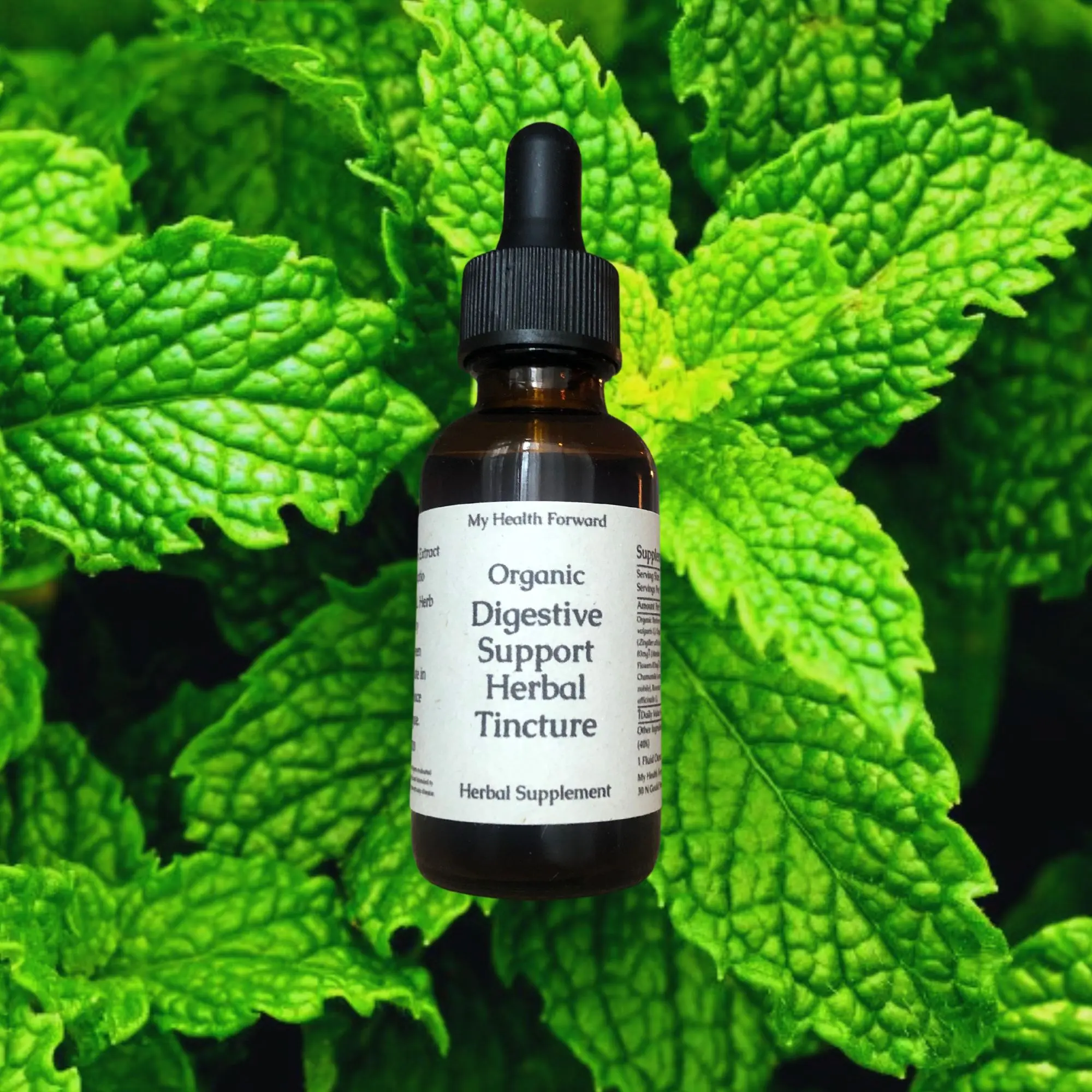 Organic Digestive Support Herbal Tincture - Herbs for Gut Health and Digestion