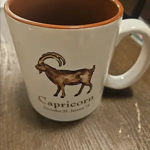 Capricorn Zodiac Mug/Used/Great Condition/Coffee/Hausenware