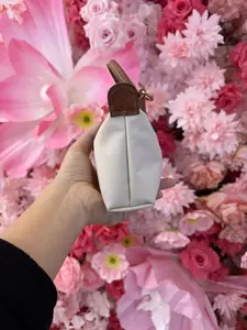 No More Overpacked Purses! Y2K Aesthetic Mini Crossbody - TikTok Made Me Buy It! Soft Pastel Colors, Water-Resistant & Lightweight, Fits iPhone 15