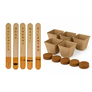 Patio Garden Starter Kit