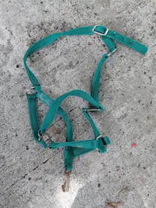 Adjustable Nylon Halter with Snap from Unknown -  Tack (Nylon, Plated Metal Horse Tack, Farm/Stable, Green, Silver)