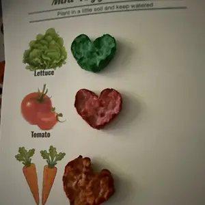Grow Your Own Veggies Card – Handmade Seed Bomb Set (Lettuce, Tomato, Carrot)