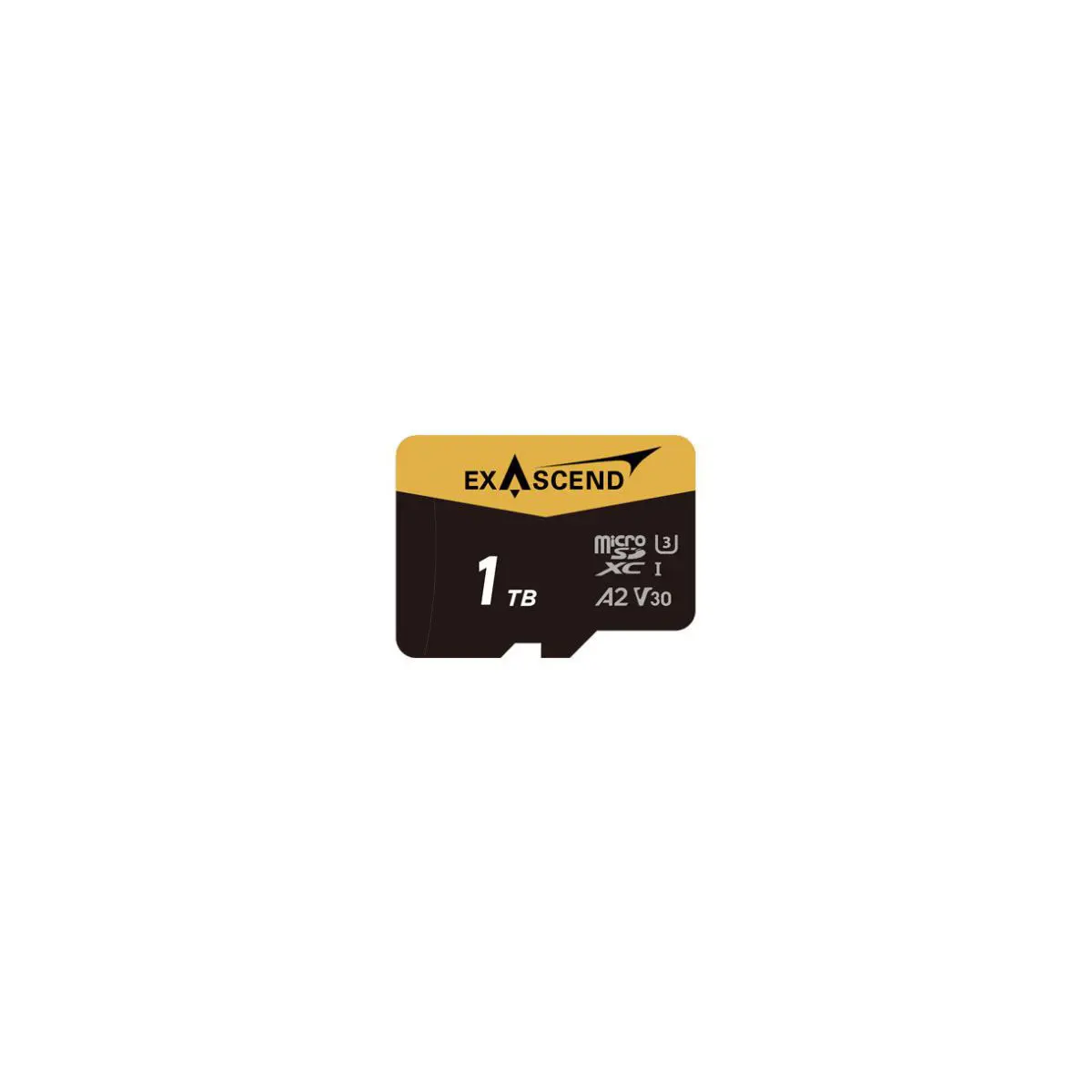 Exascend Catalyst 1TB Compact UHS-I V30 Rating SDXC Memory Card, High Speeds, SDXC Form for Video Capture
