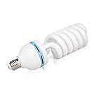 Softbox Lighting Kit, Studio Lights with 2 135W Bulbs 5500K Continuous Photography Lighting Kit for Filming Portrait Product Shooting Photography Video Recording