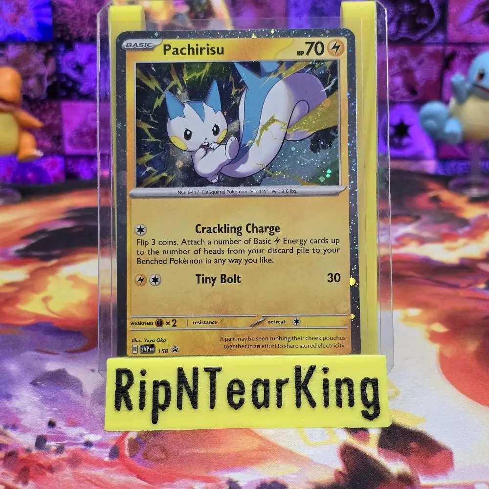 Pachirisu SVP 158 Promo Holo Cosmo Raw Card