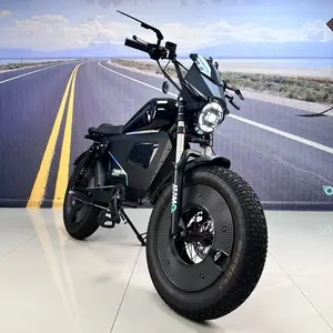 Oway New model Retro-Style Tank Bag Model  3000W 60V 50Ah Long-Range (62 Miles), Featuring Cruise Control, GPS Tracking, and Anti-Theft Alarm High Speed ​​Electric Bike (Fatebike)
