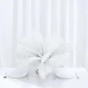 12 Pack White Natural Plume Real Ostrich Feathers, DIY Centerpiece Fillers 13"-15"