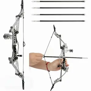 Sport-Partner 16.4-inch Stainless Steel Mini Composite Bow with 4 Arrows for Beginner Archery Practice Entertainment and Fun Gift Mini Compound Bow Archery Set,Gifts for kids&teens&aldult