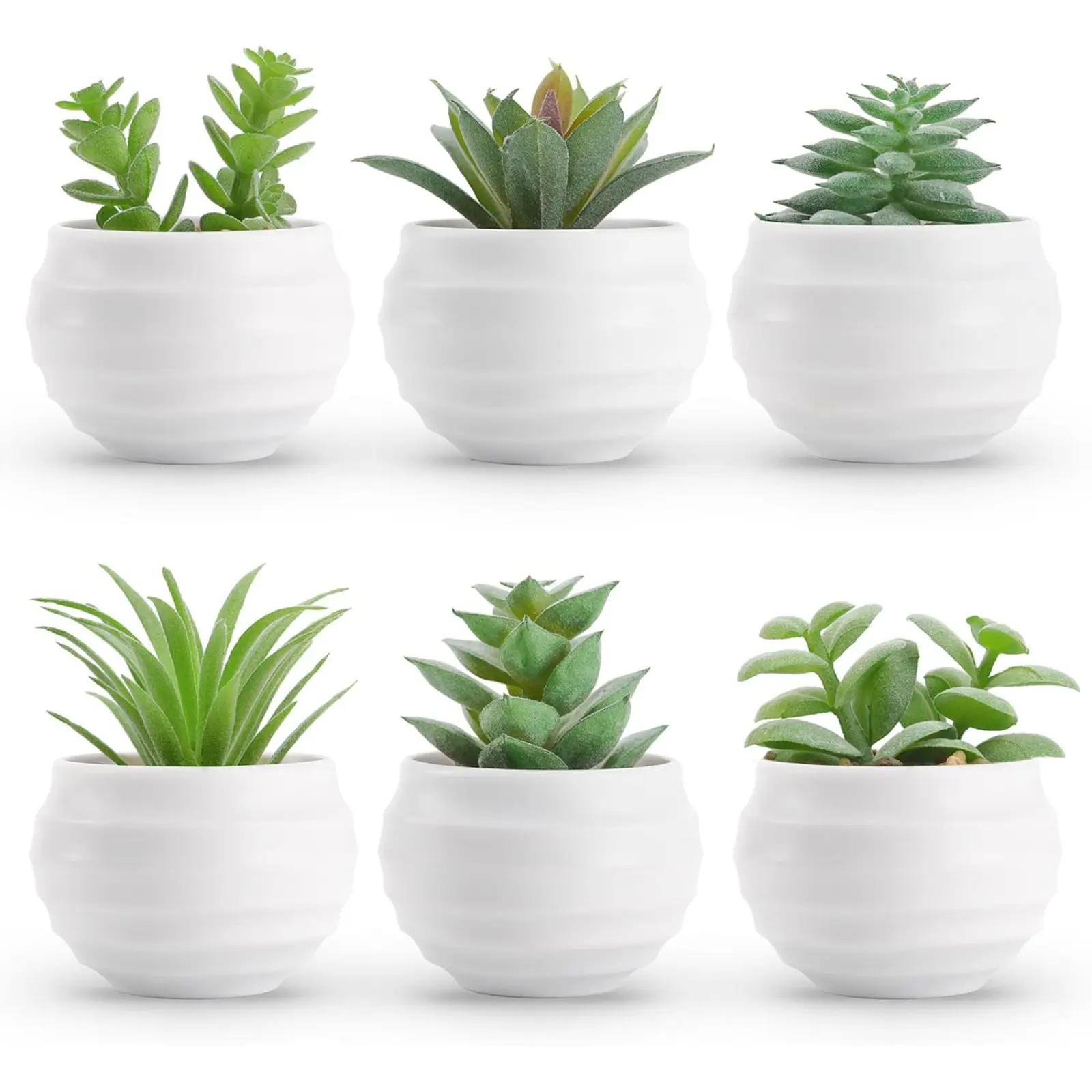 Set of 6 Succulents Plants Artificial in Pots Small Fake Plants for Bedroom Aesthetic Living Room Office Shelf Bathroom Decor