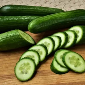 50 Seed Cucumber Seeds Cucumbers crawling all over the fence - all over the ground