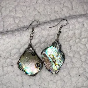 Abalone Shell Earrings