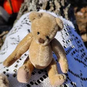 vintage velvet teddy bear