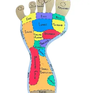 Reflexology Foot Chart with Detailed Zone Markings for Ears Eyes Neck Lungs Thyroid Liver Solar Plexus Stomach Spine Kidney Ascending Colon Small Intestine Hips Knees