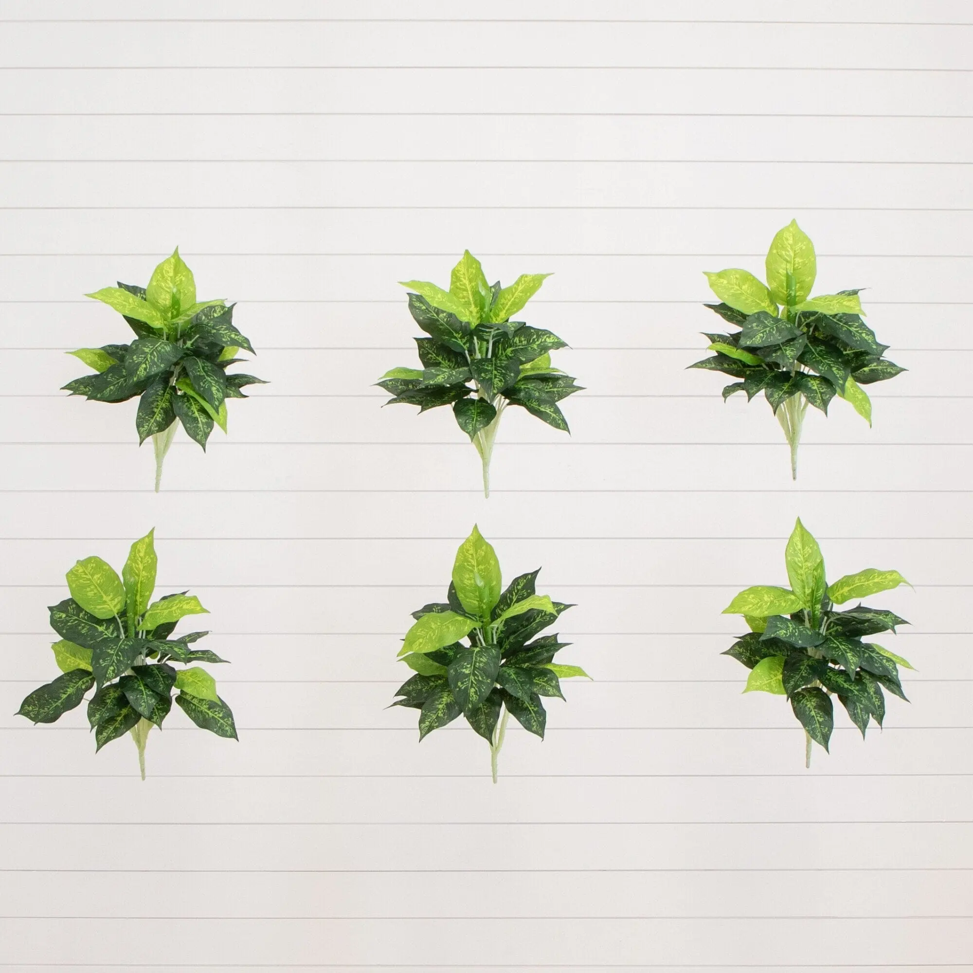 19” Synthetic Dieffenbachia Plant Set of 6, Indoor Plants with Pots for Room Decor Decoration Items, Ideal for DIY Projects