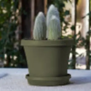 212 MAIN 12 in. Green Living Terrapot - Outdoor Resin Garden Pot, Succulent Pot for Home Improvement & Garden Supplies, Resin Flower Pot
