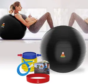 65 Yoga Gym Exercise Ball Set with Quick Pump & Resistance Band, Fitness, Pregnancy, Full Body Workout