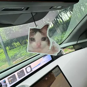 Crying Cat Emoji Car Air Freshener, Ice Cube Design, Japanese Cartoon Anime Rearview Mirror Hanging Ornament, Home Decor Gift Idea