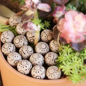 20pcs Ancient Symbol Garden Pavers, Resin Craftsmanship, Decorative Pebbles for Gardens & Bonsai Fillers, Unique Ornamental Stones, Garden Accessories