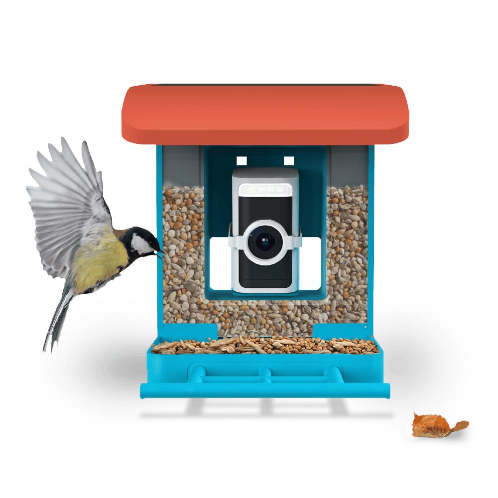Wyze Bird Feeder with HD Camera — View & Record Live Video of Feathered Visitors with Your Favorite Wyze Camera
