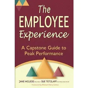 USED-The Employee Experience: A Capstone Guide to Peak Performance by McLeod, Jane (Paperback)