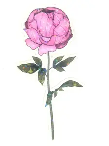 Peony Flower Sticker