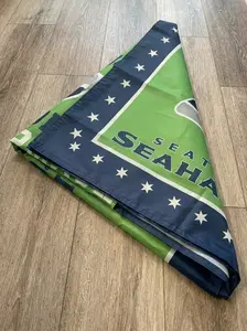 Football Champions House Flag Banner, Green Blue Sports Fan Garden Flag, Conference Division Winner Decor, Outdoor Porch Yard Decoration, Team Spirit Gift For Football Lovers