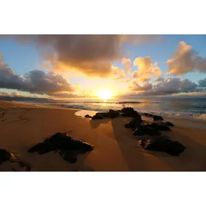 Hawaiian Sandalwood - Premium Fragrance Oil