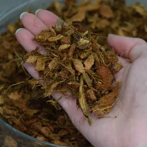 Coco Chips – 2 Quart | Natural Soil Topper by Beth’s Roots & Shoots