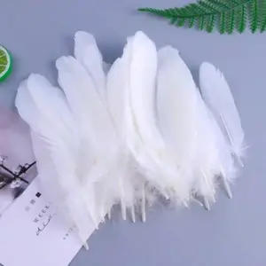 50 Piece Multicolor Natural Feather Assortment, Versatile Decorative Accessories for Weddings and Parties, Perfect for Natural Feather Decoration, Party Decoration Supplies