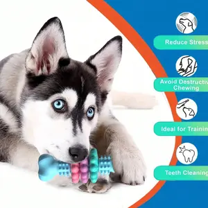 Multi-Color Dog Toothbrush Toy - Helps Clean Teeth, Relieve Boredom, Reduce Destructive Behavior, Durable TPR Dog Chew Toy, Suitable For Training Small To Medium Dogs, Puppy Teething Toy, Dog Supplies, Dog Accessories, Dog Toys, Puppy Games, Pet Toys, Dog