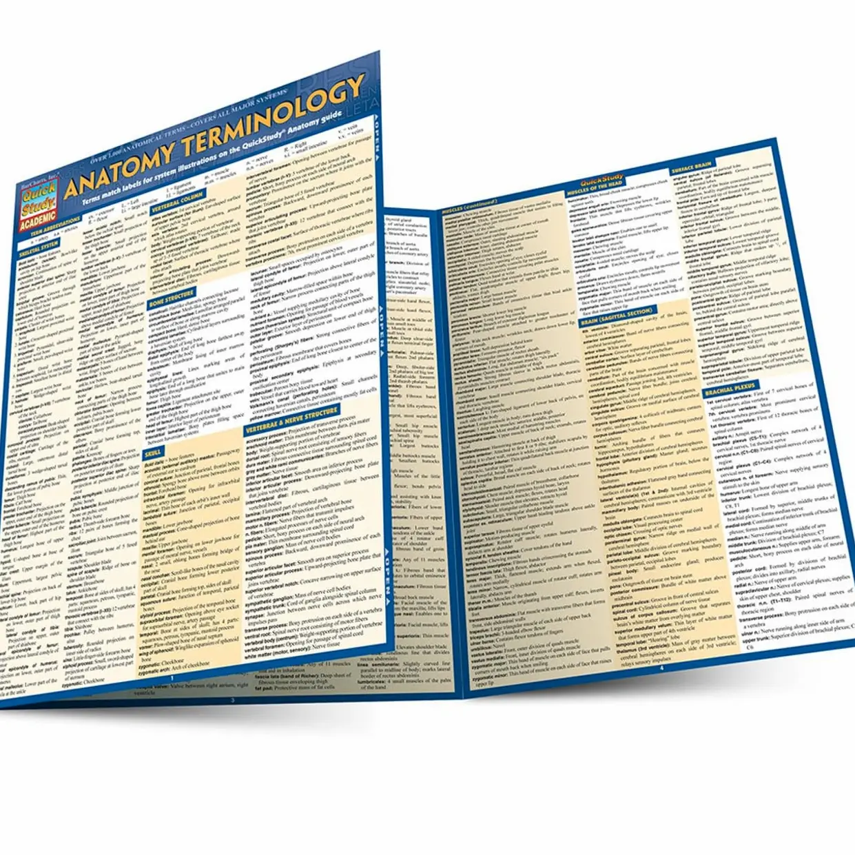 Anatomy Terminology QuickStudy Laminated Reference Guide (QuickStudy ...